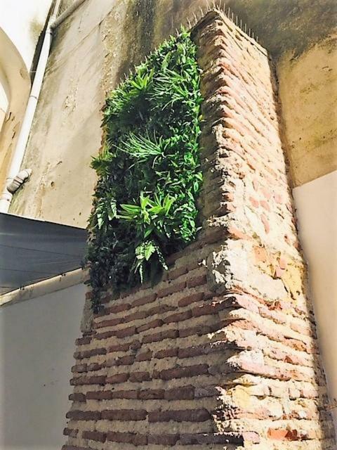 Inn Lisbon, Alfama Fado Studio מראה חיצוני תמונה
